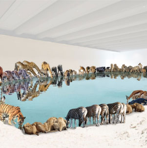 蔡國強(qiáng)在澳洲的驚險時刻